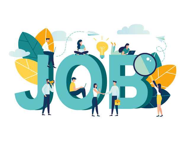 FRESHER HIRE 5