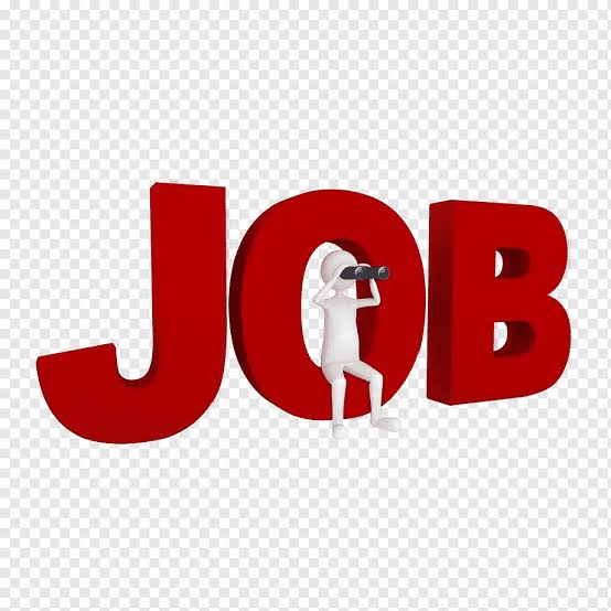 XOLO COMPANY