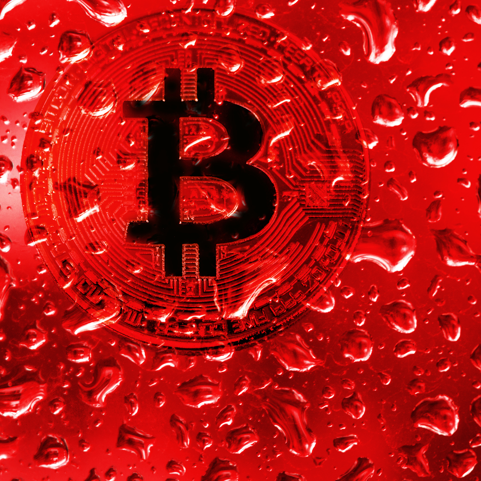RED CURRENCY : 9220751320