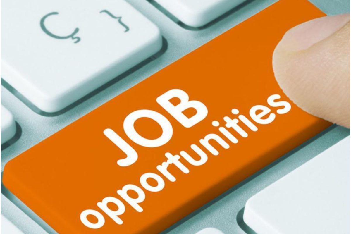 FRESHERS ATTENTION-9266351138